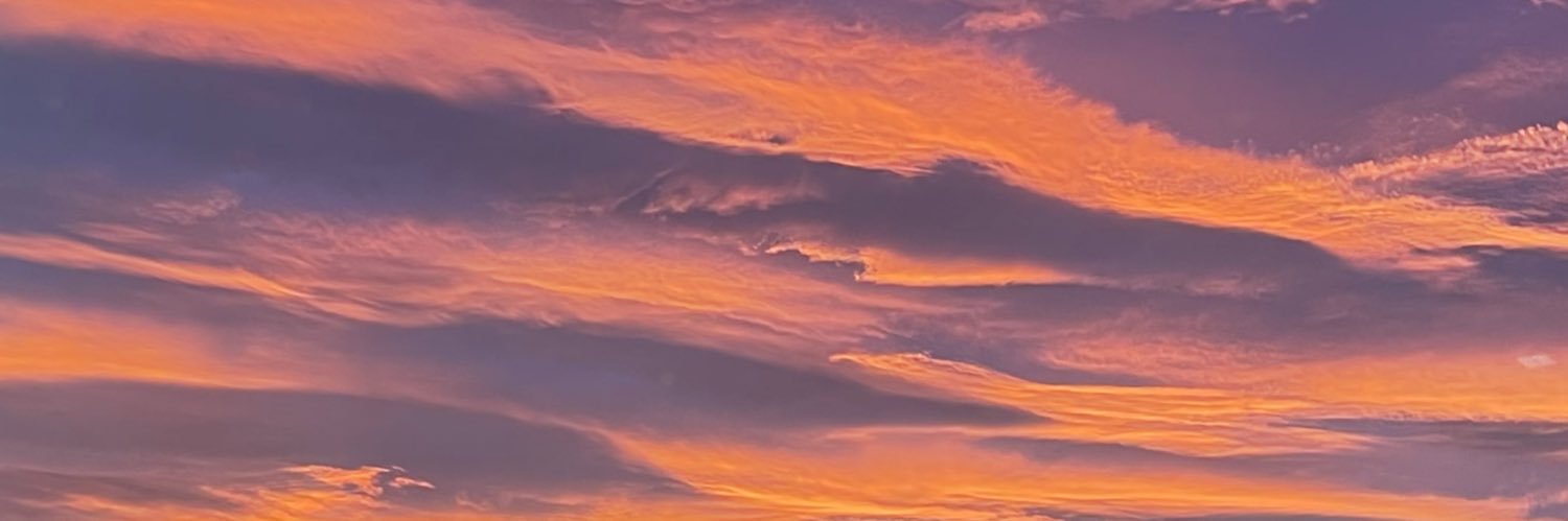 aimeehenderson_'s profile banner image
