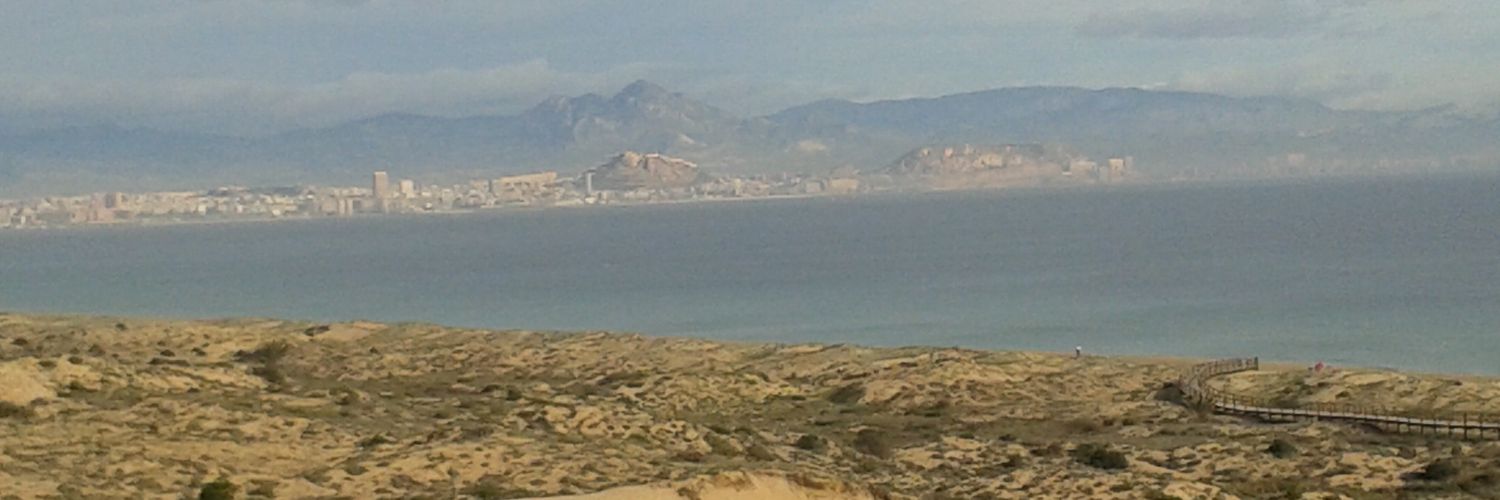 BonetPertusa's profile banner image