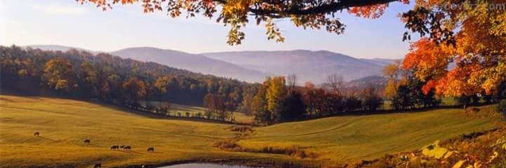 Viajes Y Naturaleza banner