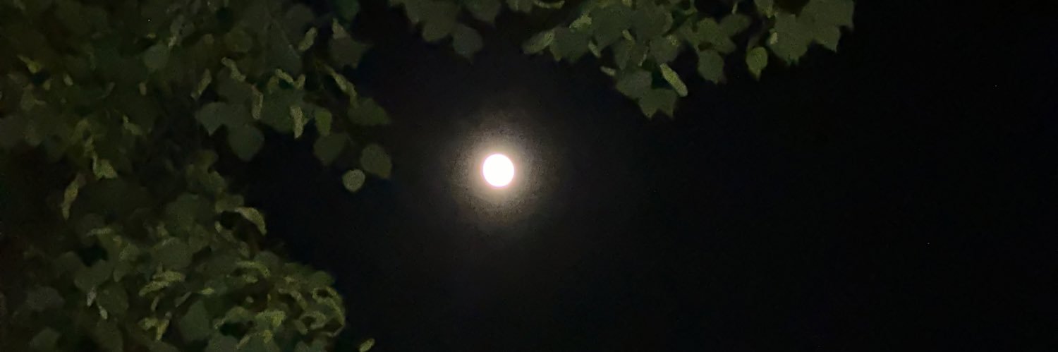 ryanrafaty's profile banner image