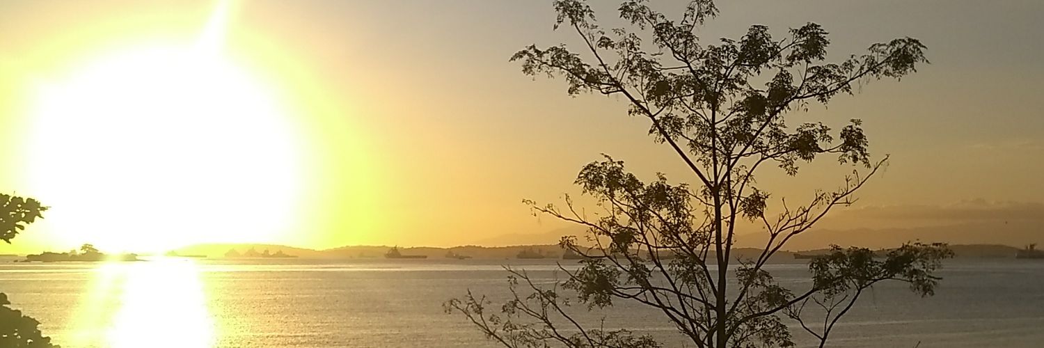 rimamell's profile banner image
