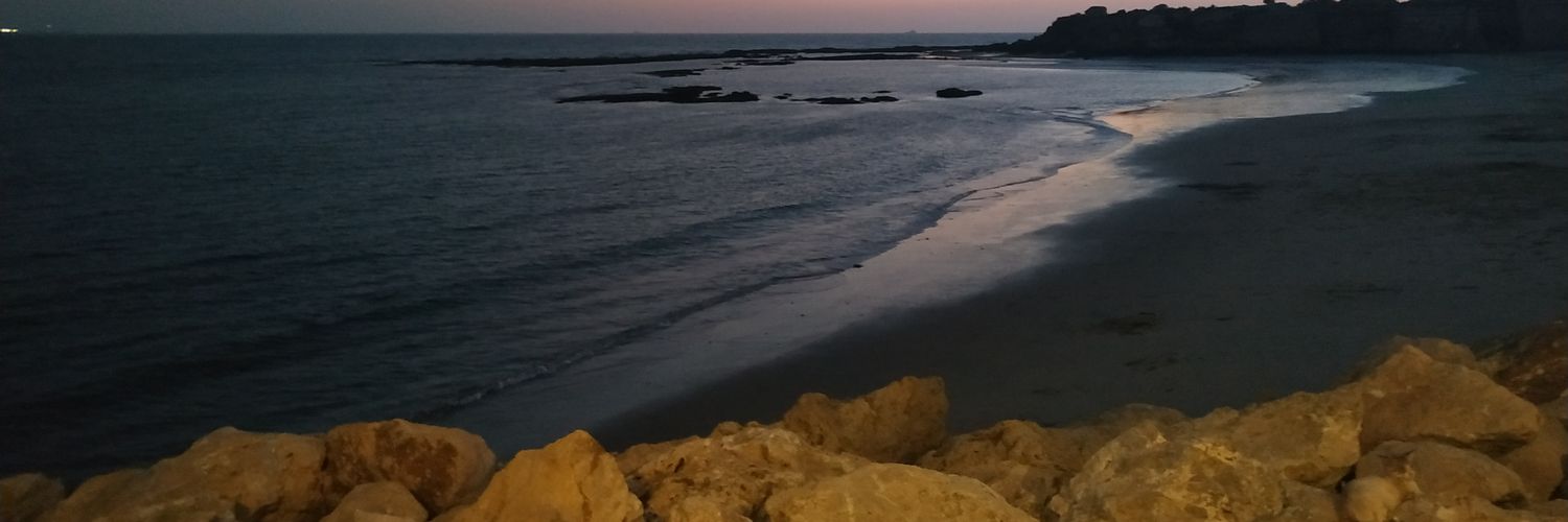 Claramarg's profile banner image