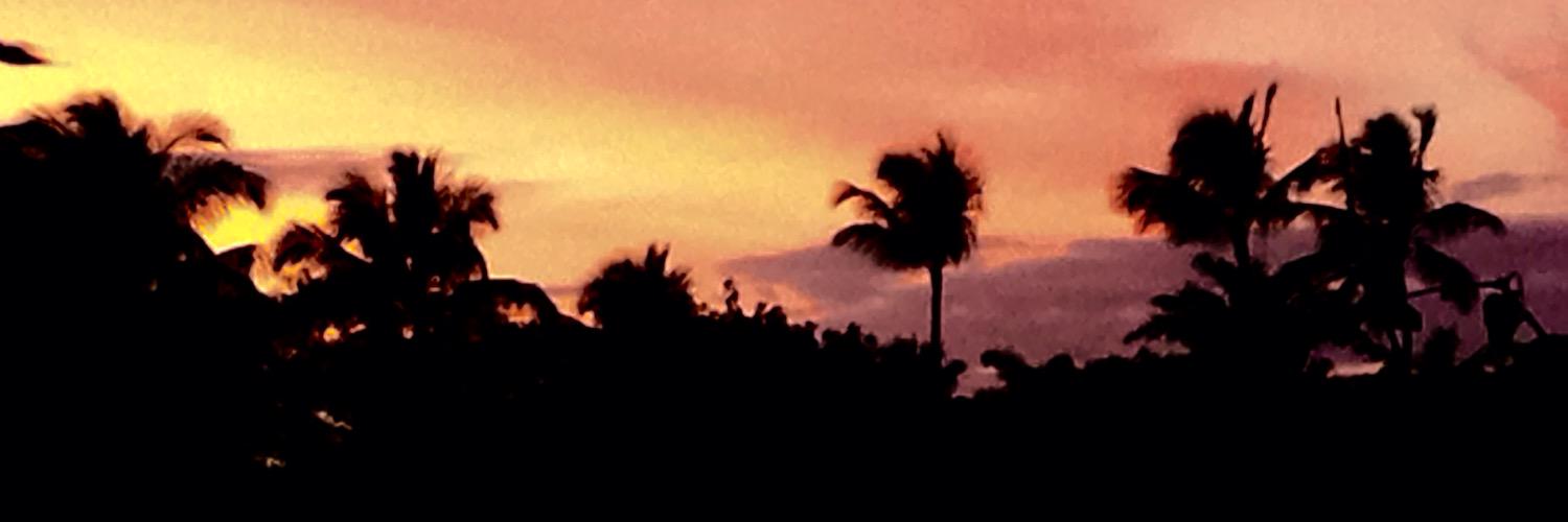 LexayMOON's profile banner image