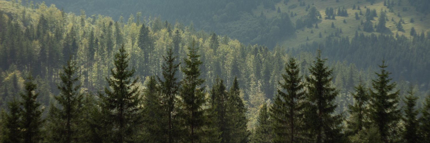 Омелян Косопизд митець 🇺🇦 banner