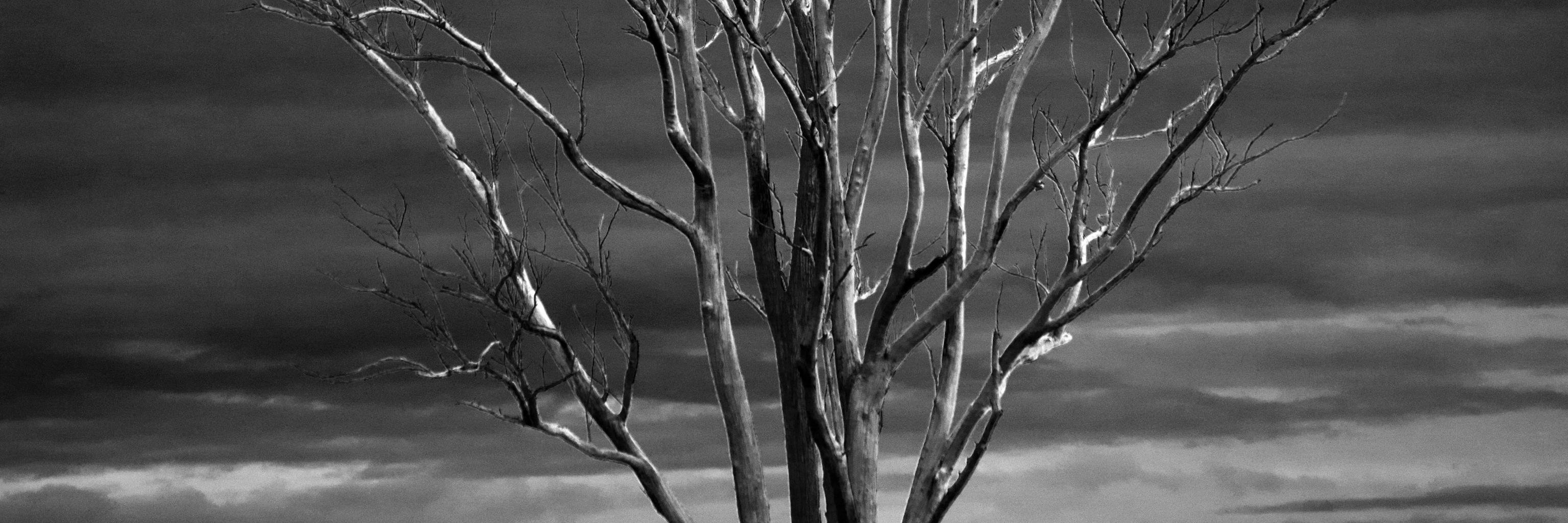 Winter026's profile banner image
