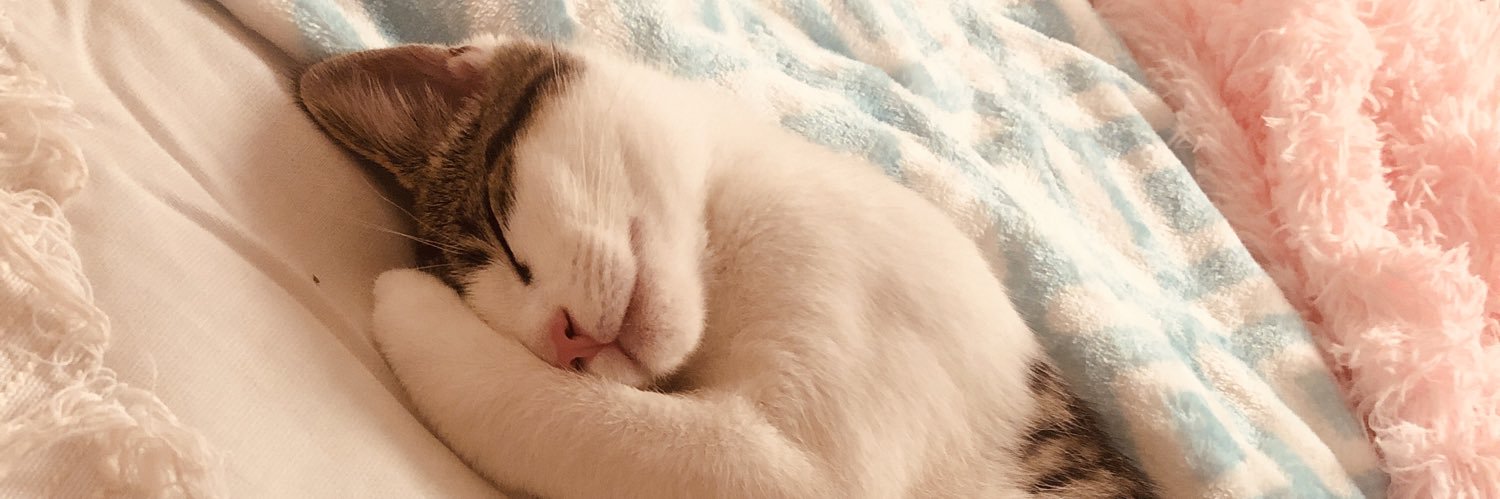 therealkitcat's profile banner image