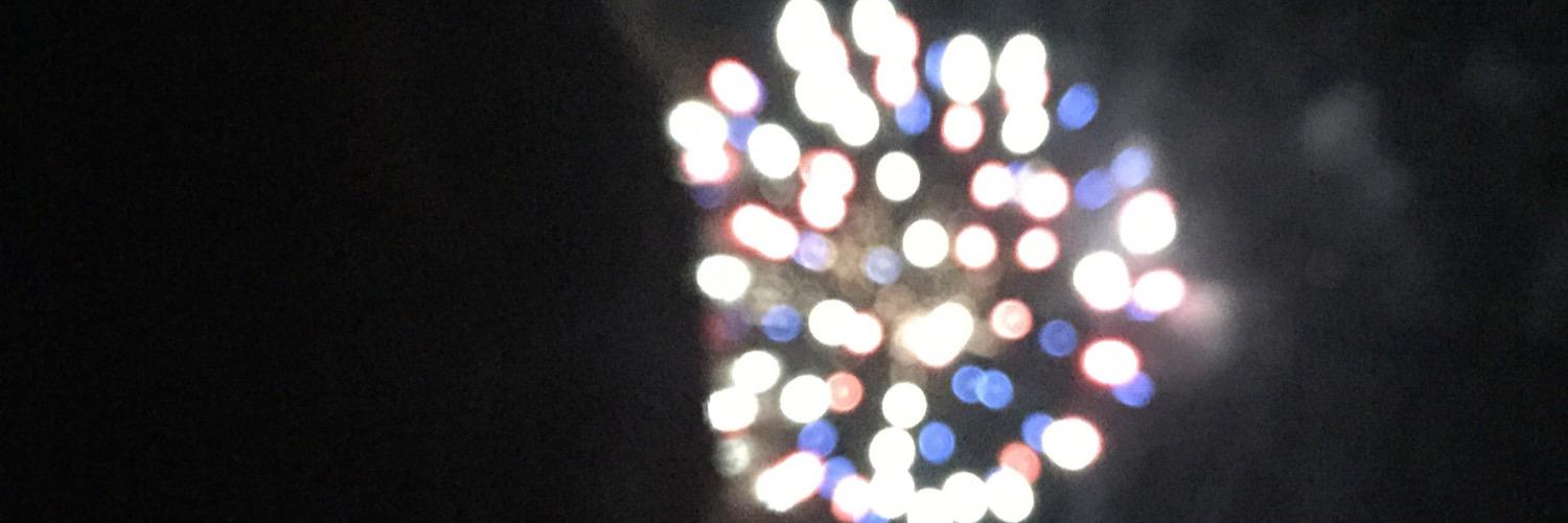 ElaineRothWrite's profile banner image