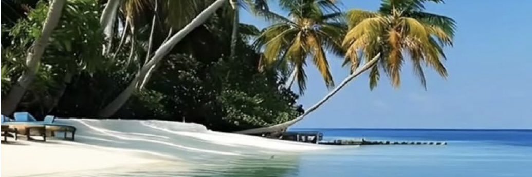 💛Ale Huchaime💛 banner