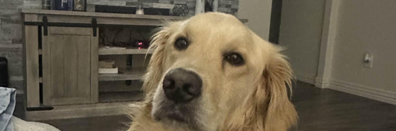 IsabelTijerina's profile banner image