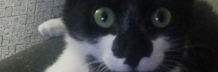 AYidoan's profile banner image