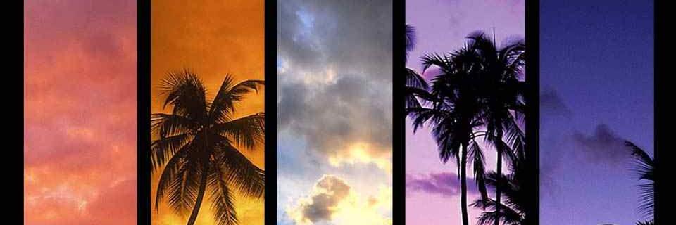 immkt's profile banner image