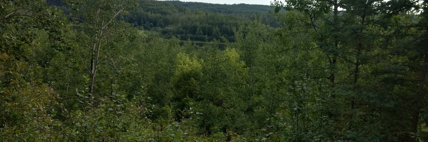 dwilvers's profile banner image