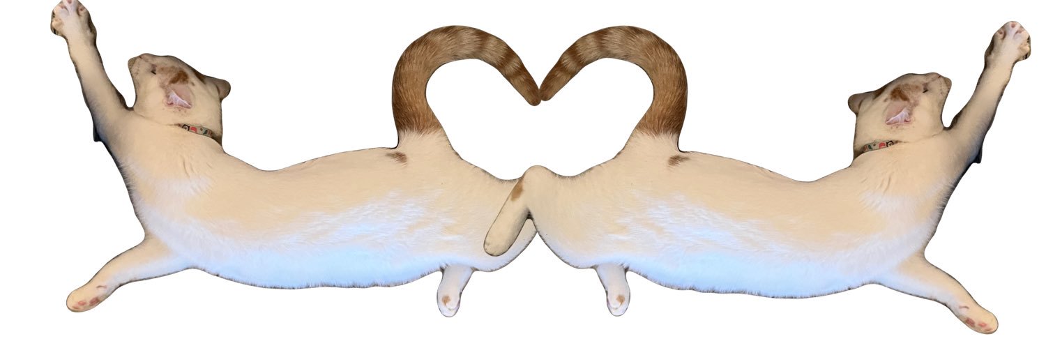 botmorbit's profile banner image