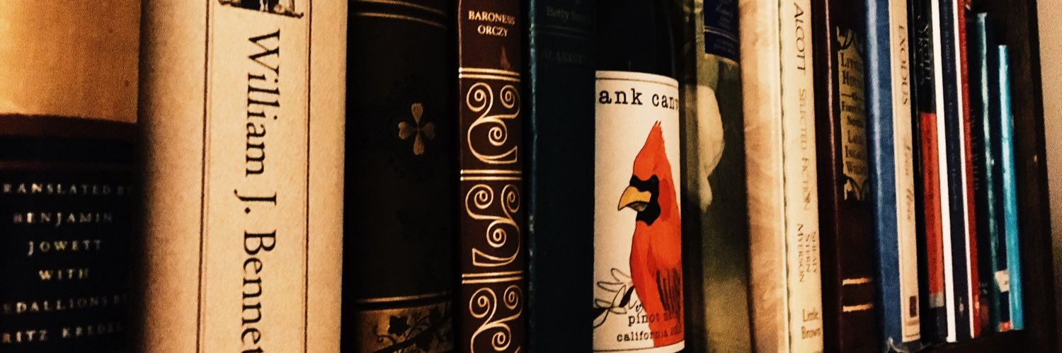 NSchultzWrites's profile banner image