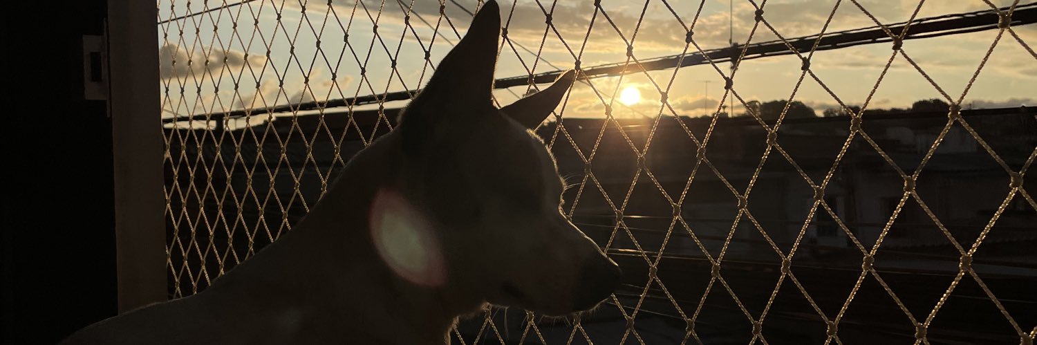 QuelemValiane's profile banner image