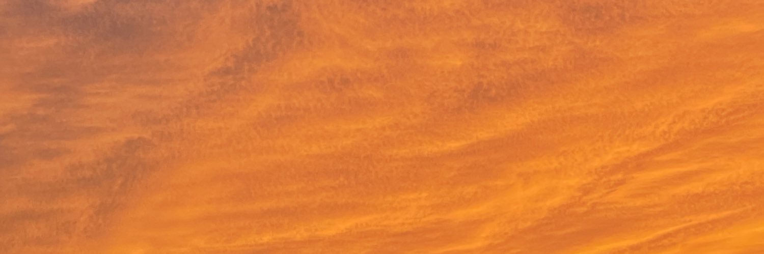 RosariaaE's profile banner image