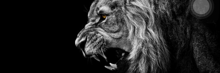 CR_athleticz's profile banner image