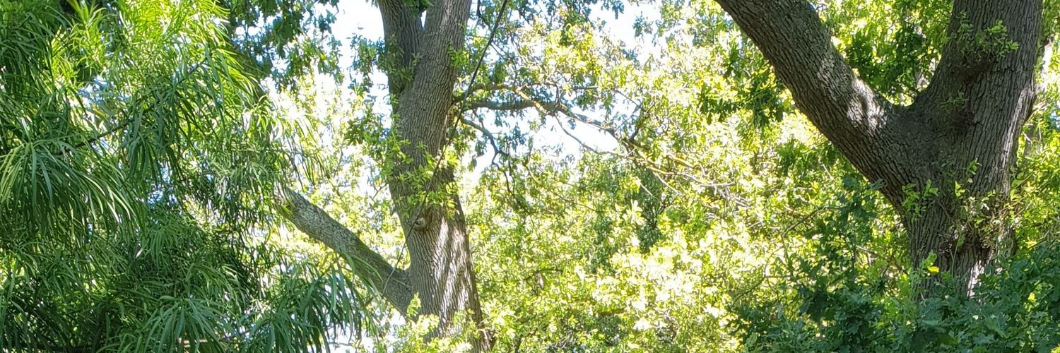 chriswin774's profile banner image