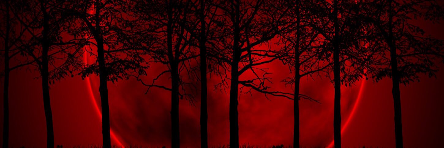 killingkateCP's profile banner image