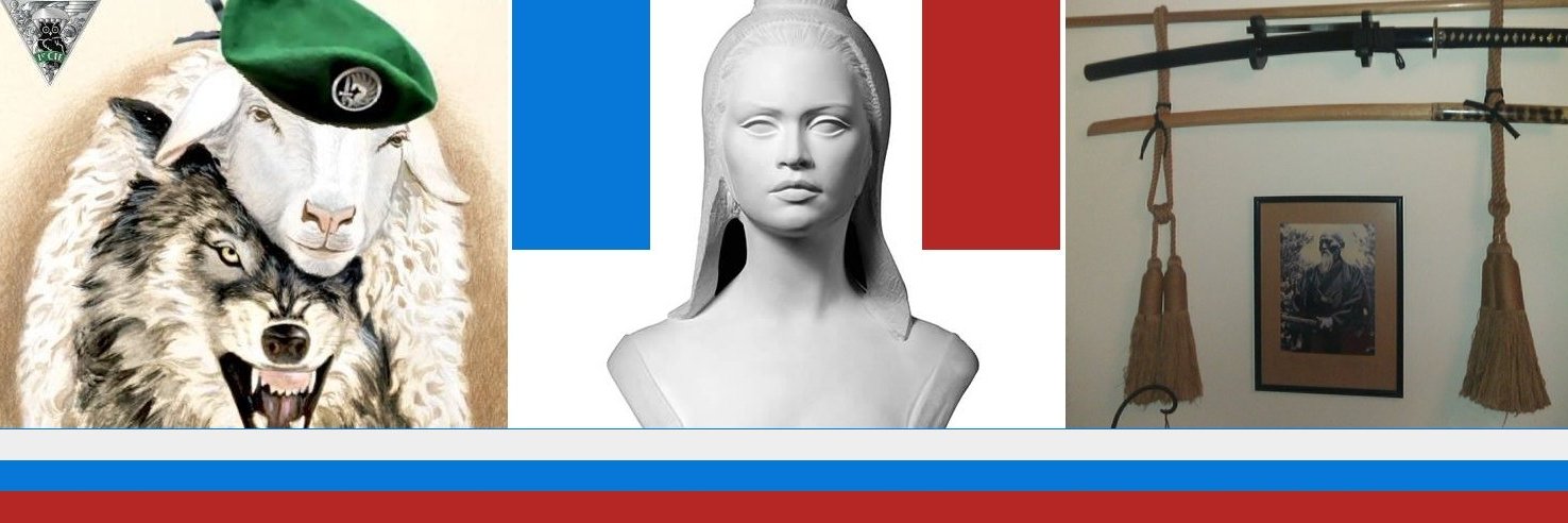 refaudit's profile banner image