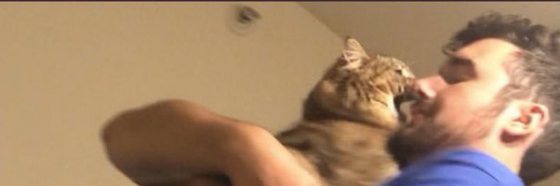 r_schu33's profile banner image