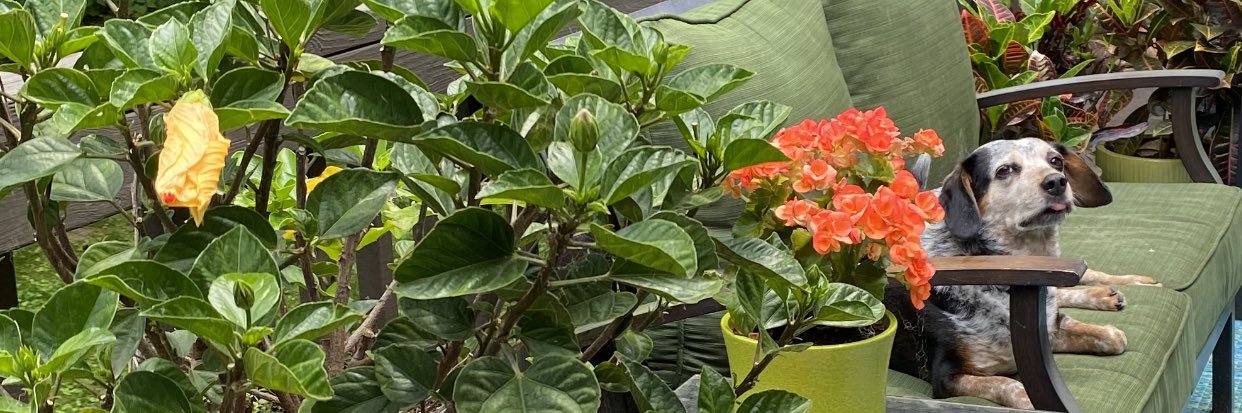 artiemclaughlin's profile banner image