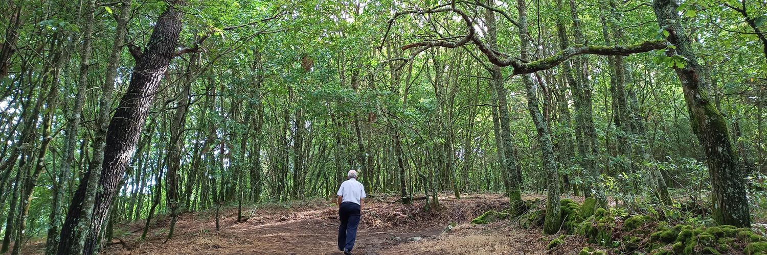 O Salcedo 🏳️‍🌈 banner