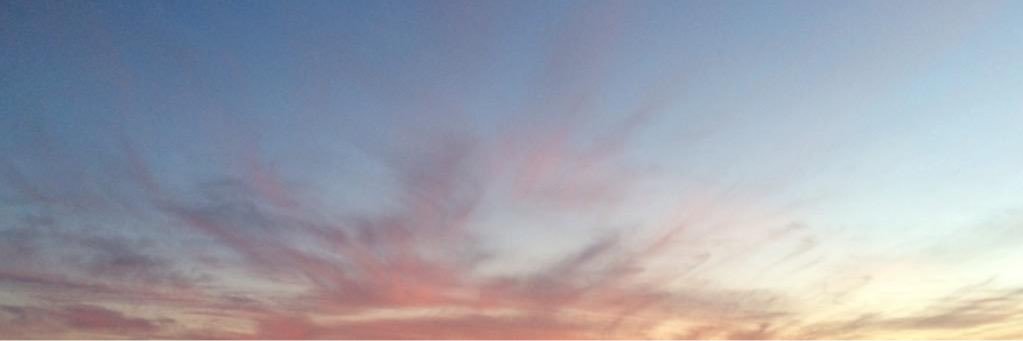 harry archived banner