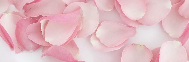 Pauladise's profile banner image