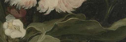 surco_verde's profile banner image