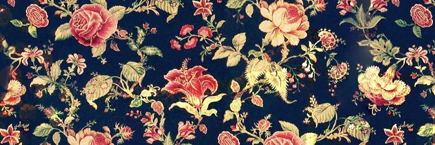 scotiabeauty's profile banner image