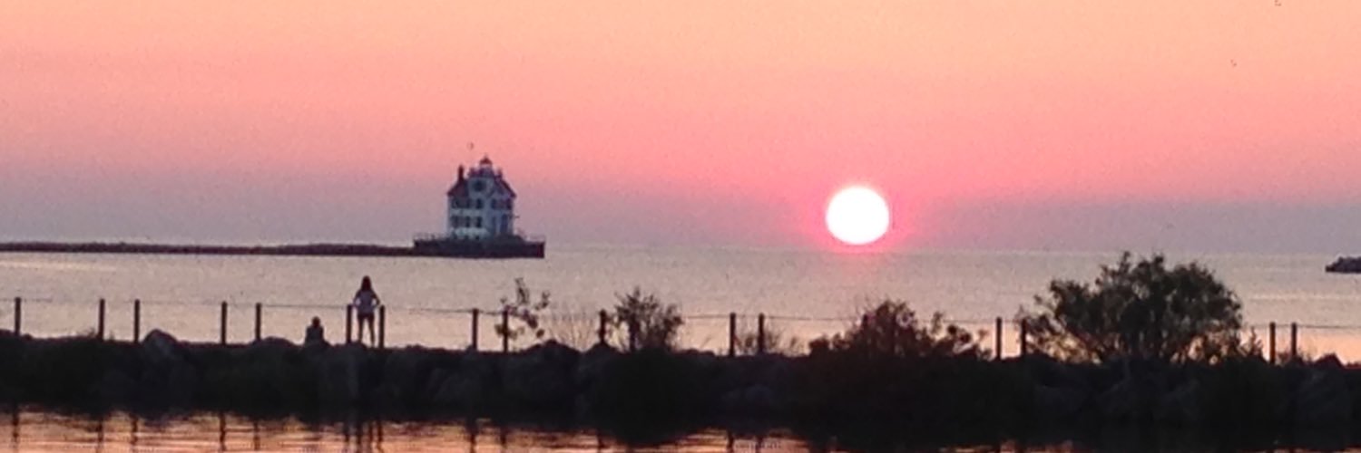 Michelle Pullin banner