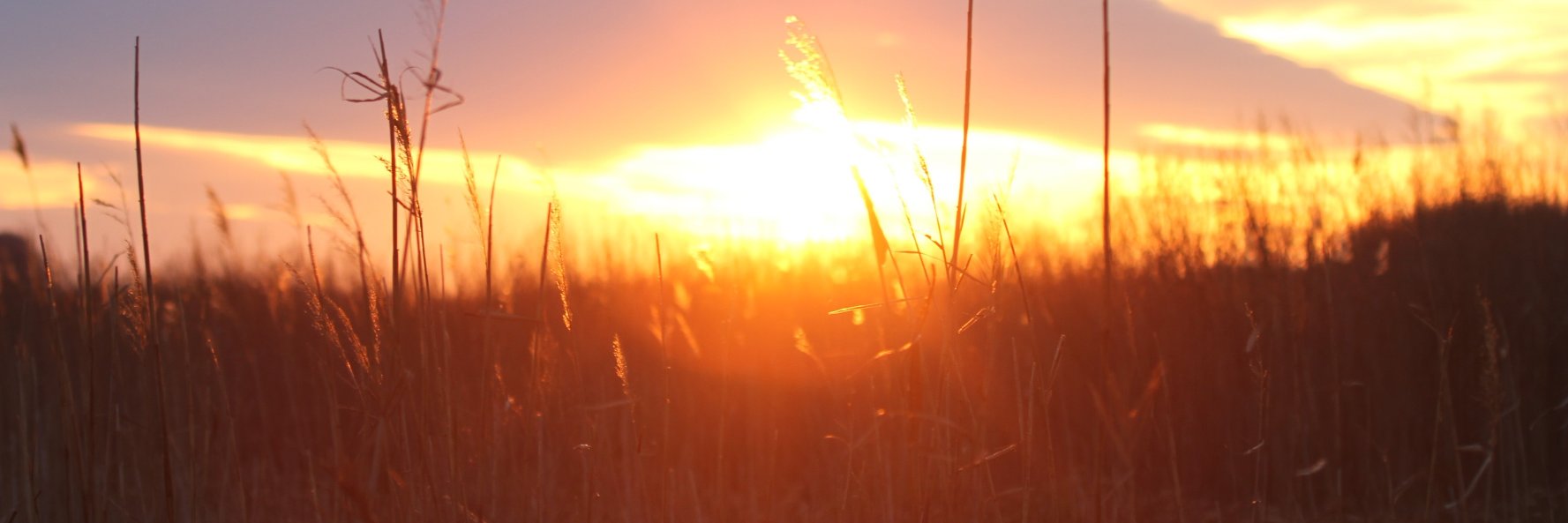 Yanaka Bernal banner