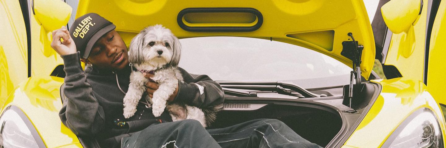 Trealz_'s profile banner image