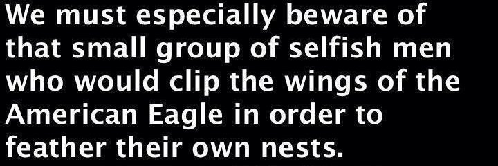 Sunny ☀️🐝 banner