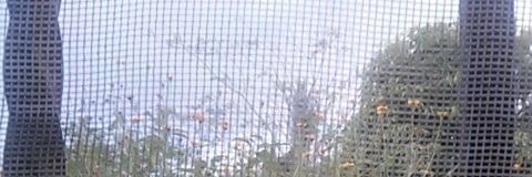 TheLuckyAlan's profile banner image