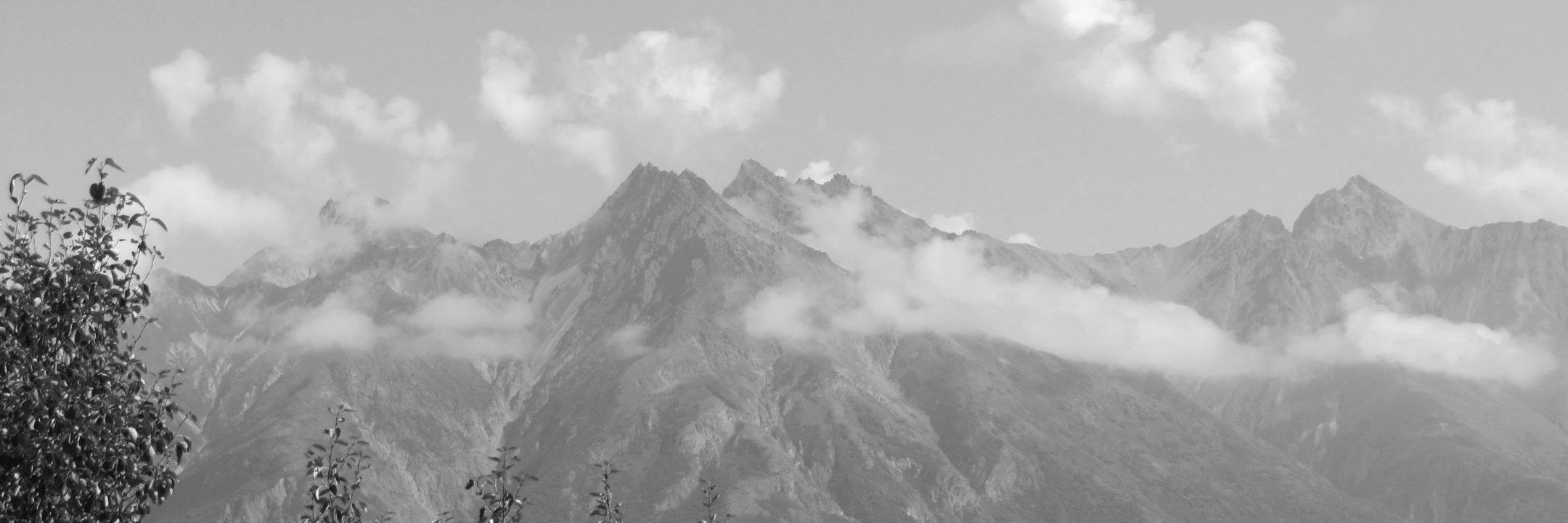 shinto314's profile banner image