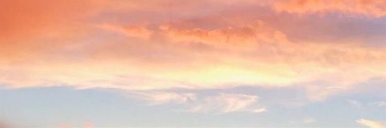 mithardianty's profile banner image