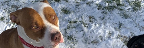 logvn95 Profile Banner