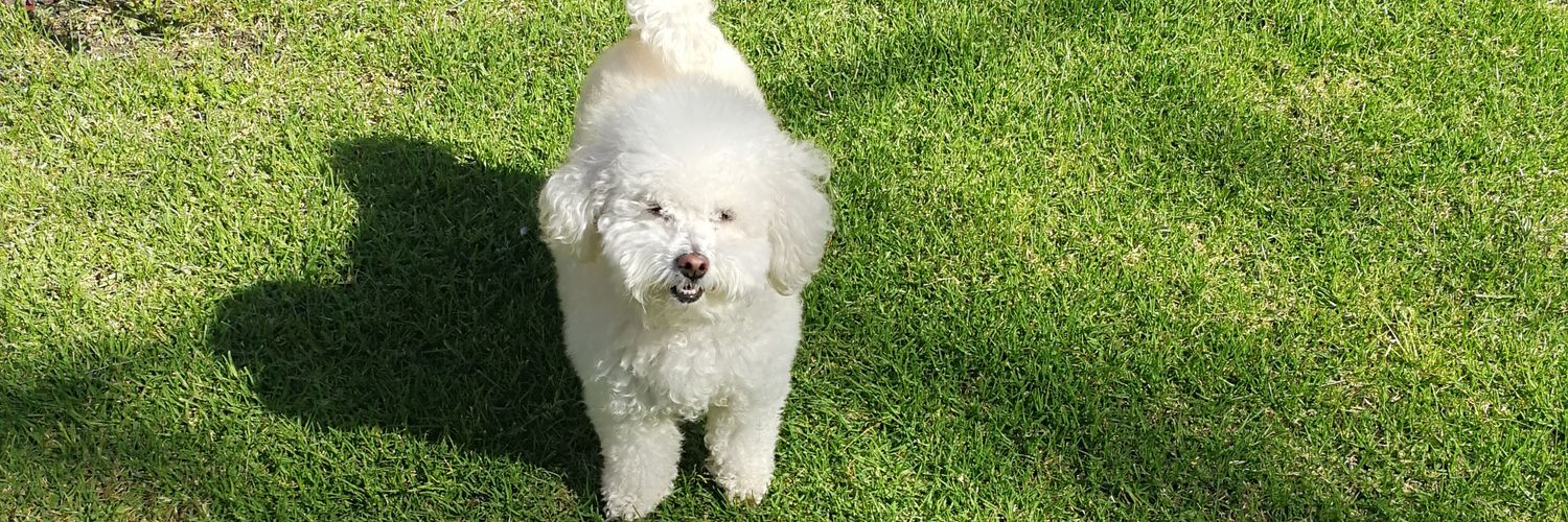 Pviyu's profile banner image