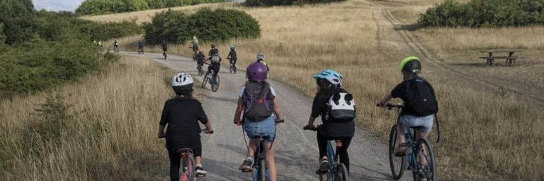 1st Maidenhead Sea Scouts banner