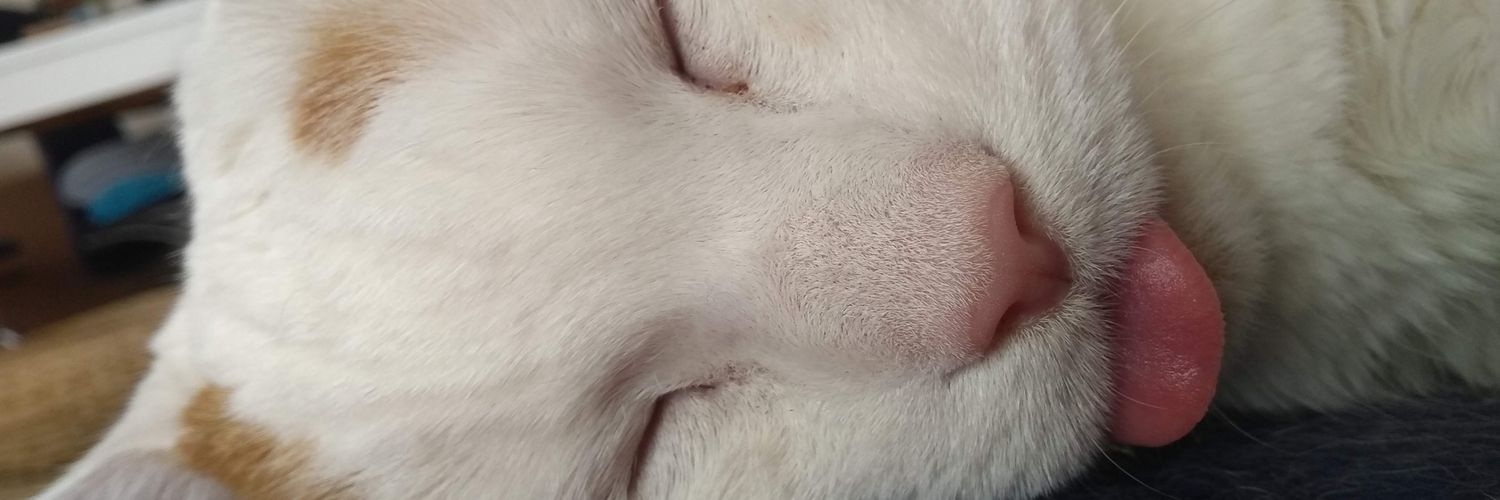 jerrysmom2012's profile banner image