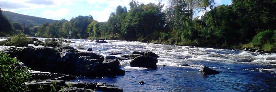 theinnonthetay's profile banner image