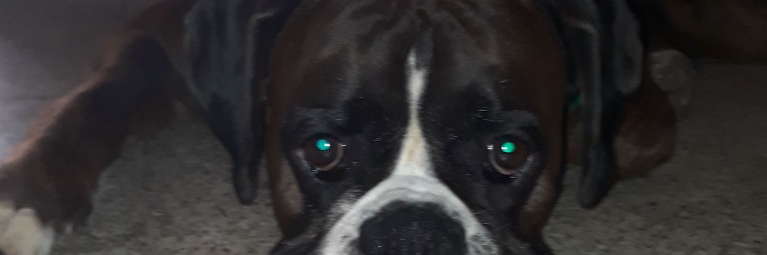 lady2dh's profile banner image
