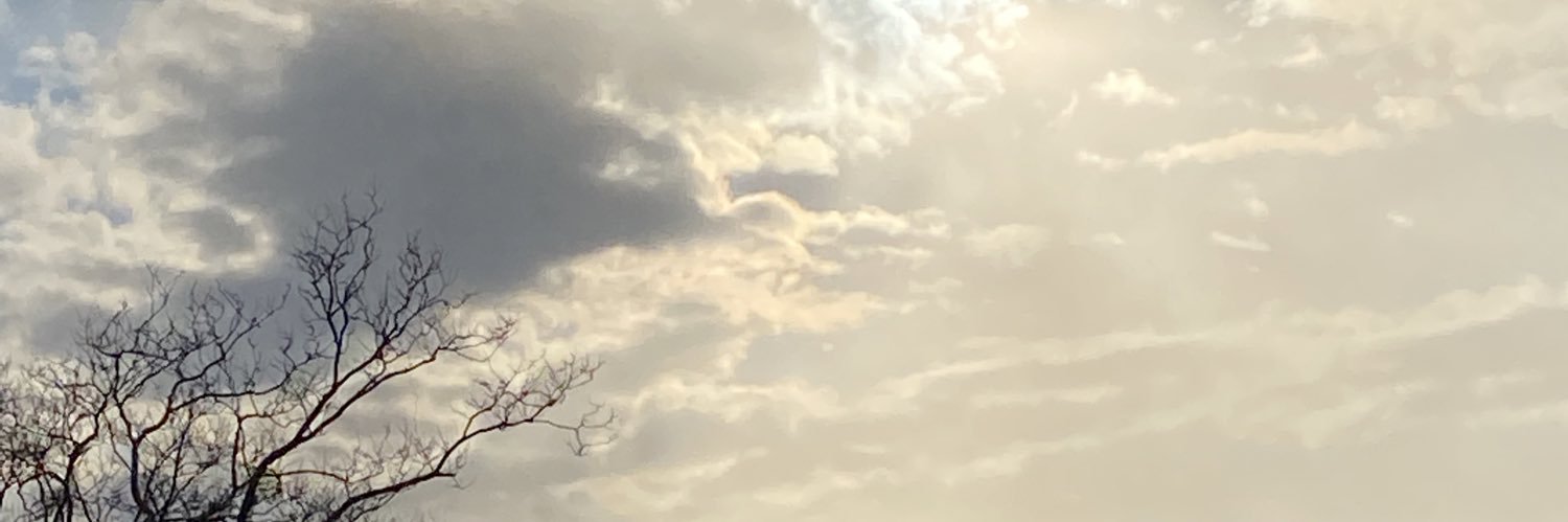Angela_ForeroG's profile banner image
