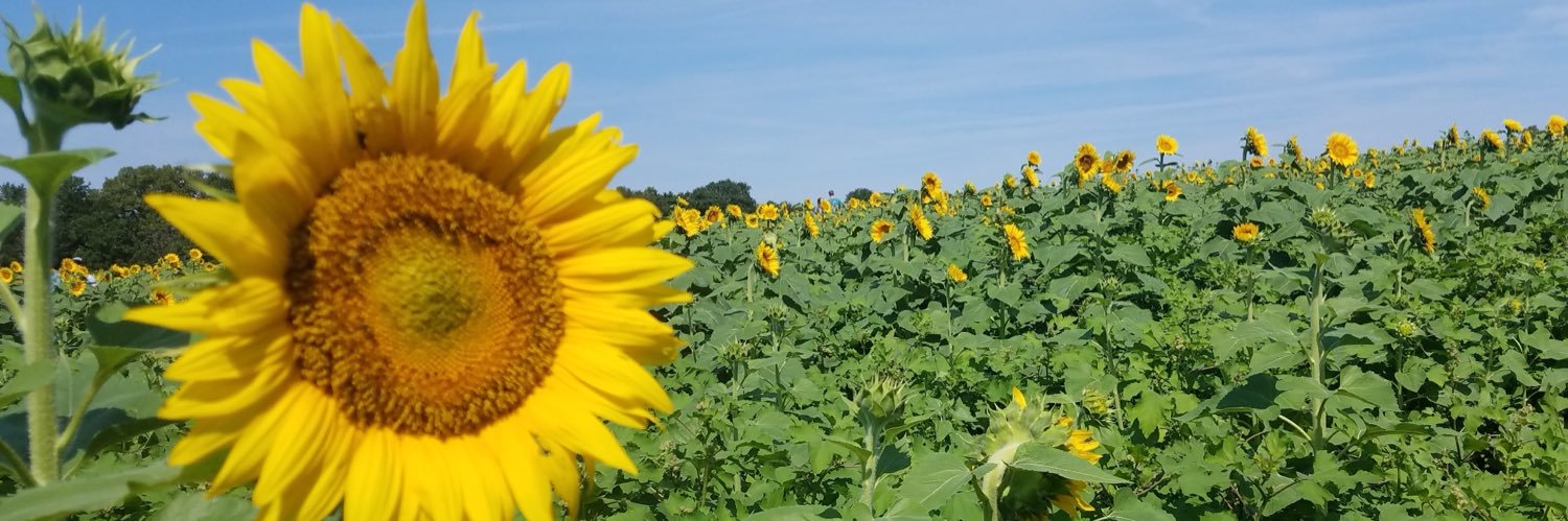 Armybrat🇺🇸 banner