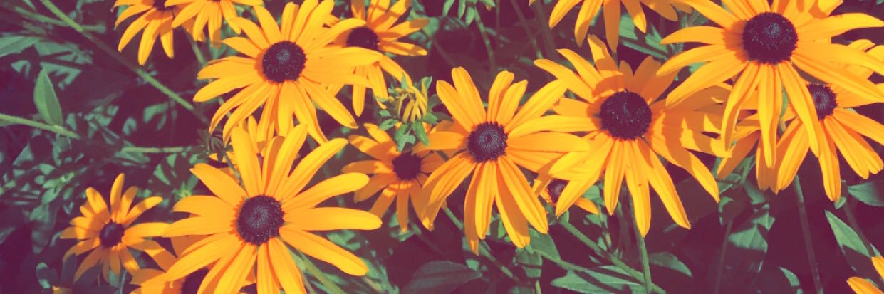Jess_Thomas47's profile banner image