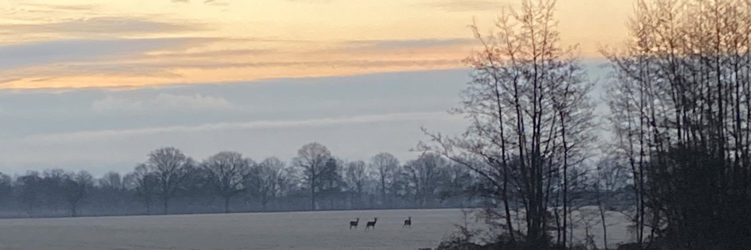 Zeijerveld's profile banner image