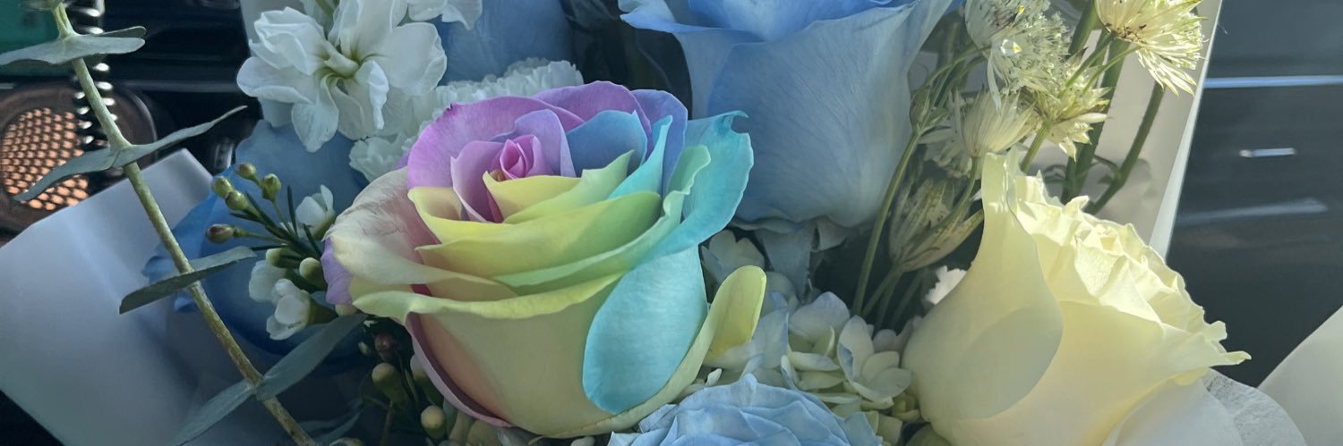 Danicaacc's profile banner image