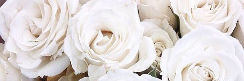 IdaOwen's profile banner image